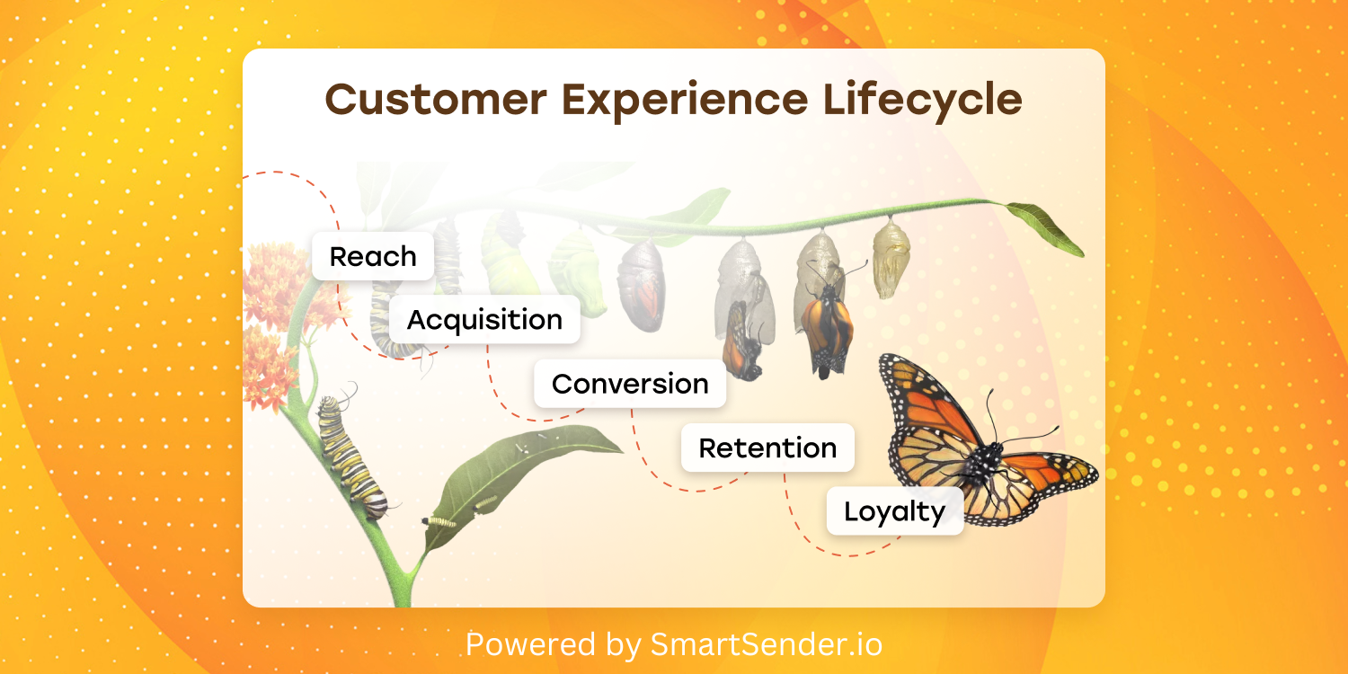 customer_lifecycle customer_lifecycle